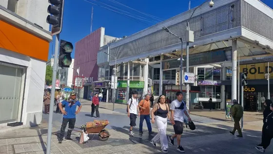 Local Comercial En Arriendo En Rancagua