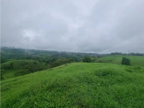 Finca Con Rio, Nacimiento, Cascada Y Vista Panoramica 9 Km De Filandia