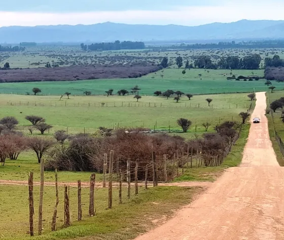Oportunidad -por Viaje Vendo  Parcela Con Pozo Y Rol Propio.