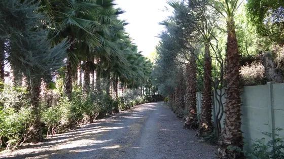 Curicó Isla De Marchant 5600 M2 De Parque, 640m2 Construidos