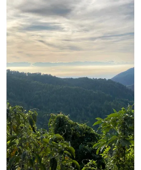 Venta De Finca En Felidia Valle Del Cauca