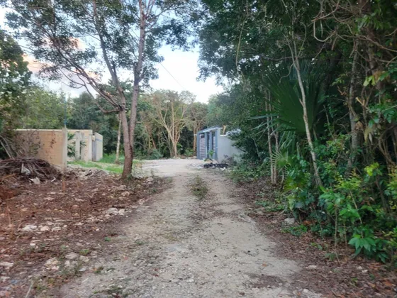 Terreno En Venta Cancún Álamos Il