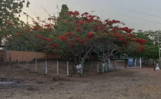 Finca Las Josefinas. Via Valle La Pascua. Guarico. C/s