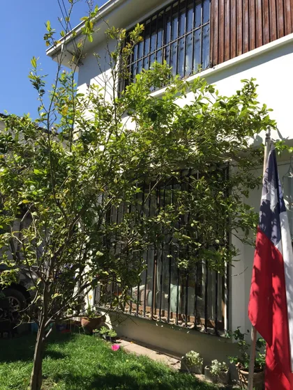 Casa Barrio Las Lilas