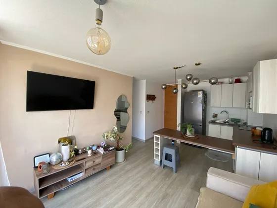 Lindo Dpto Con O Sin Muebles, Año Corrido Con Gc Incluidos