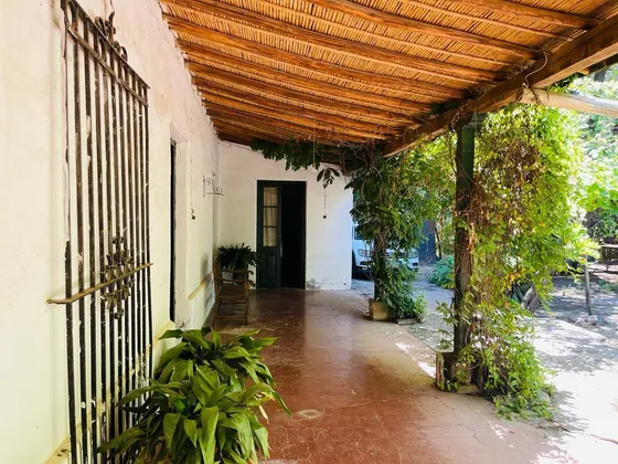 Casona Antigüa Y Finca En Venta - Chilecito - San Carlos- Mendoza
