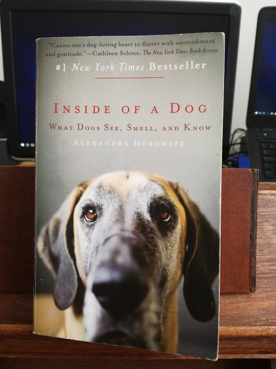 being a dog horowitz being a dog horowitz
