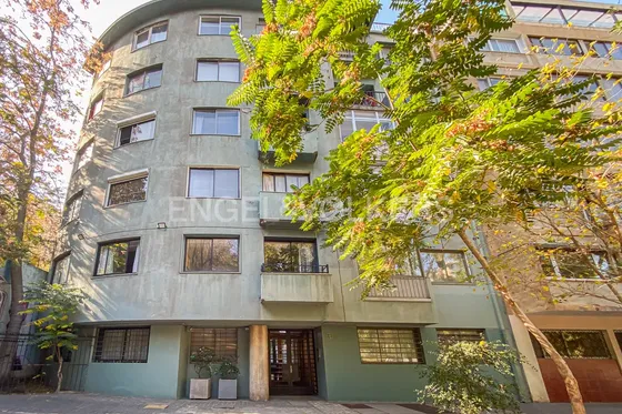 Oportunidad Dúplex Remodelado/lastarria