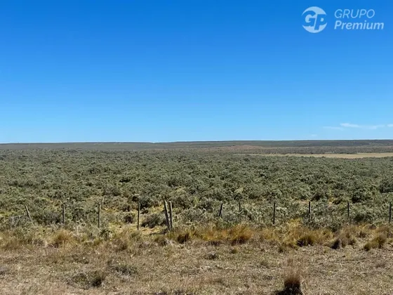 Parcela En Venta En Porvenir En Ruta Y 65