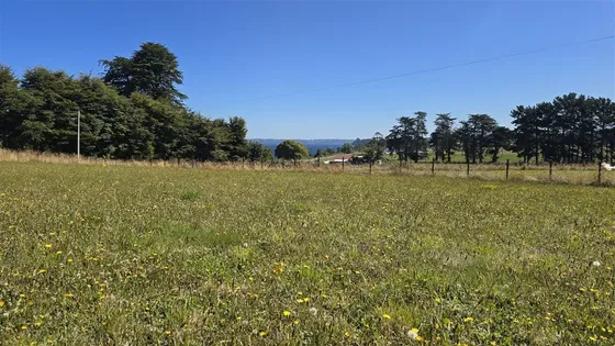 Parcela En Venta En Frutillar