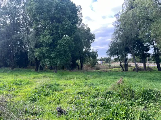 Vende Su Dueño Terreno De 30 Ha A Orilla De Ruta 5 Sur
