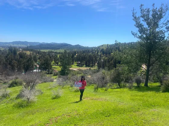 Parcela 5000 M2 En Predio Ranquilhue, Ubicado En Pumanque