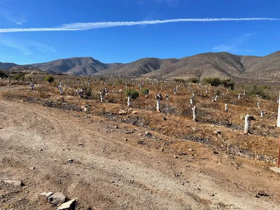 Parcela En Venta En Illapel