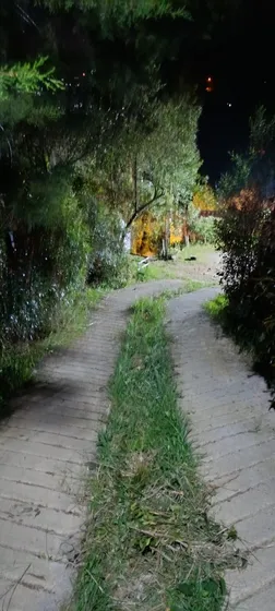 Vive Entre Jardines Y Aves En Santa Elena: Terreno Con Casa En Barro Blanco