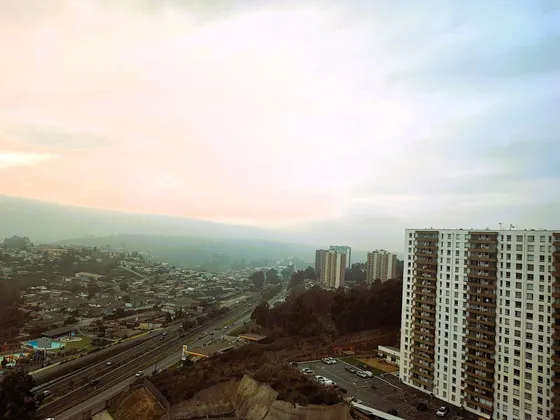 Su Nuevo Hogar En Viña