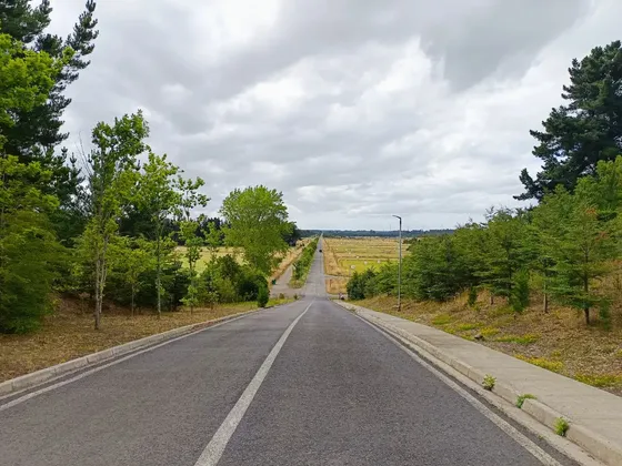 Parcela En Frutillar