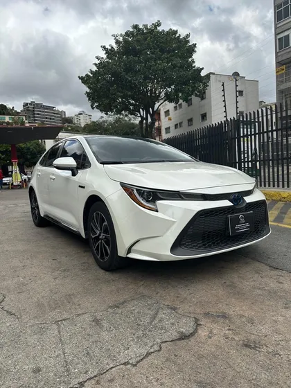 Toyota Corolla Hybrido
