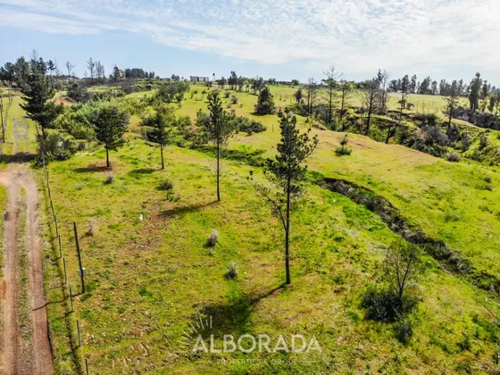 Vendo Terreno Condominio De 5000 M2 En Huacamala - Quillón