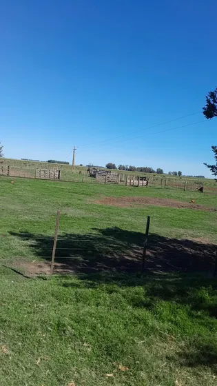 Campo En Juan N Fernandez