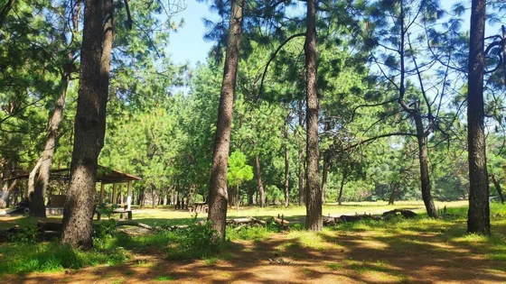 Venta  De Terreno En El Bosque De La Primavera En Jalisco Lote 1