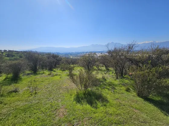 Vendo Terrenos De 5000m2 En Campo Koyam Limache.