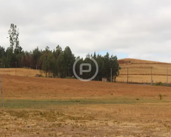 Sitio En Venta En Temuco A 5 Minutos De Rio Cholchol