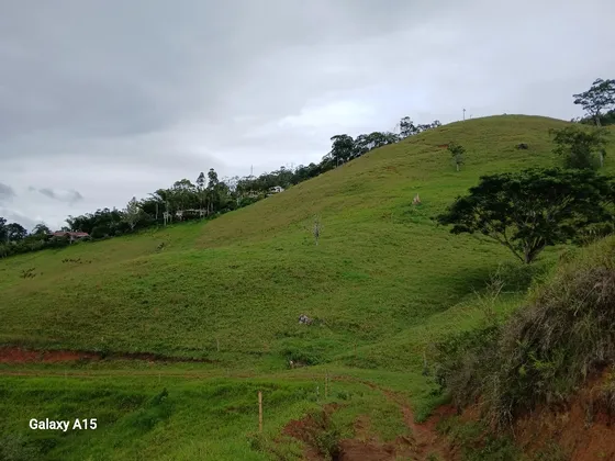 Vendo Finca Ganadera Restrepo Valle