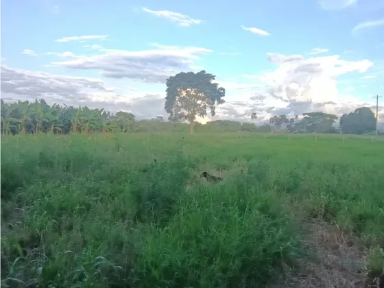 Se Venden Lotes  Montenegro Quindío 