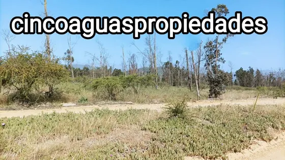 Foresta De Zapallar 02, Catapilco, Zapallar (70051)
