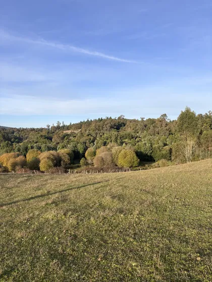 Terreno Agrícola Y Ganadero Con Lomaje Suave Agua Por Estero