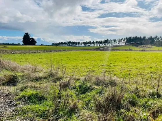 Parcelas Sin Comisión En Loteo Tierras Del Llanquihue