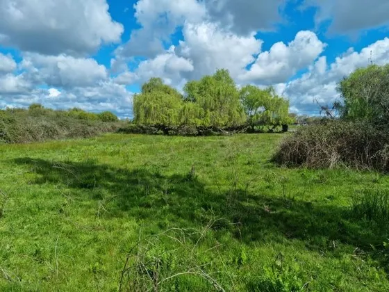 Parcela Agrícola 4 Ha, San Carlos