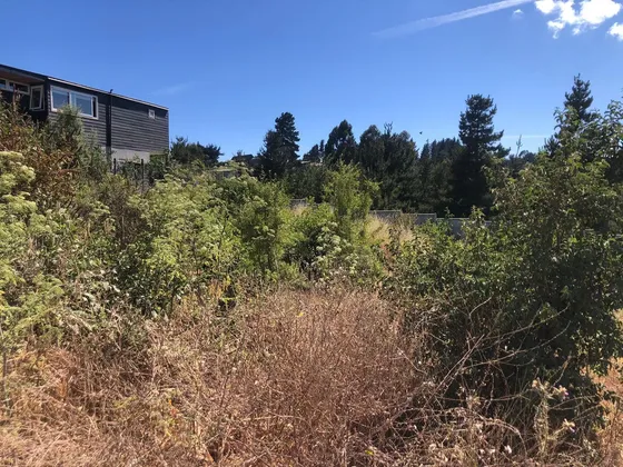 Terreno En Venta En Los Pinos, Reñaca