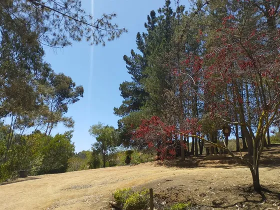Parcela En Venta De 39.910 Mts2 En Algarrobo
