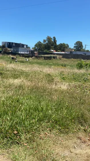 Venta Campo San Luis