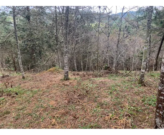 Lote En Venta Sector Lejos Del Nido, El Retiro