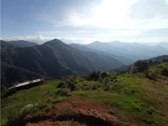 Vendo Finca En Versalles Suroeste Con Suelo Rural Y Urbano 30 Cuadras 