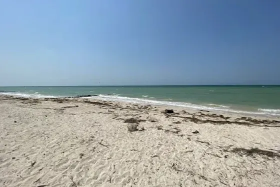 Lote En Venta En Privada Puerto Esmeralda, Chelem.
