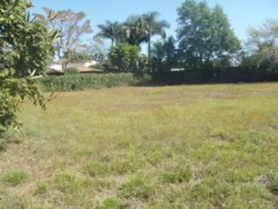 Terreno En Venta Los Apantles