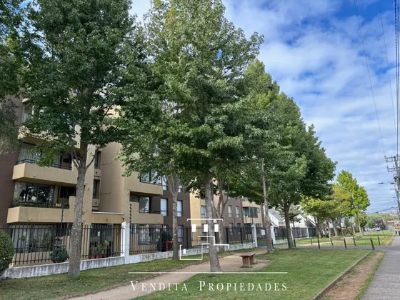 Lomas San Sebastián