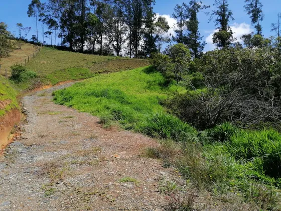 Encantador Lote En Venta San Vicente 
