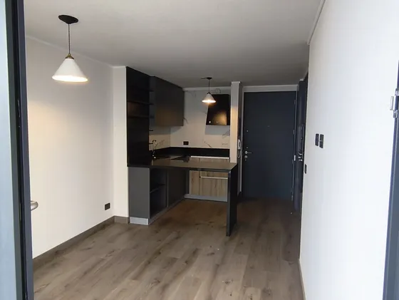 Nuevo Depto. En Arriendo, 1d Y 1b, Piso 10, Orientación Sur