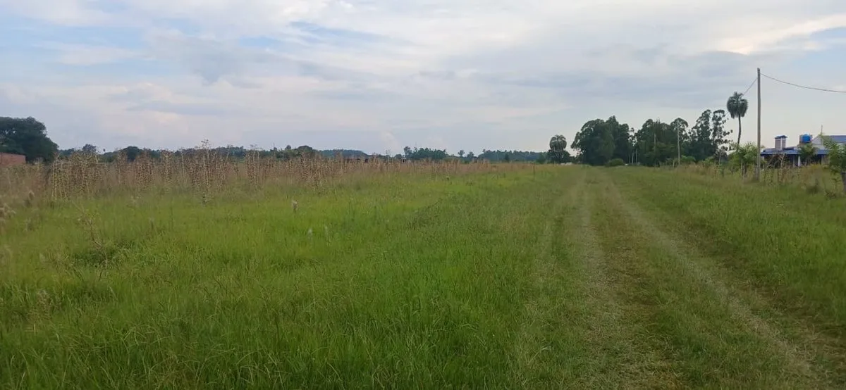 1053 m² Lot for Sale in Colonia Carolina