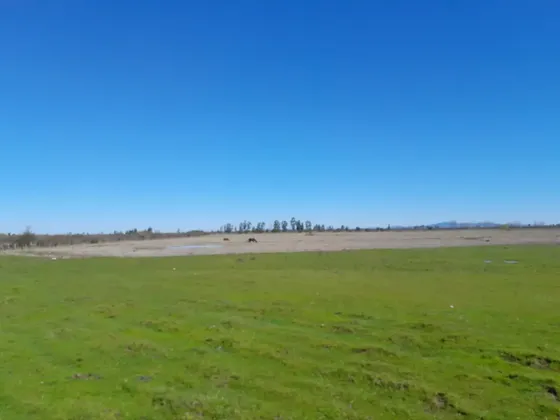 Lindo Campo Para Desarrollo Inmobiliario