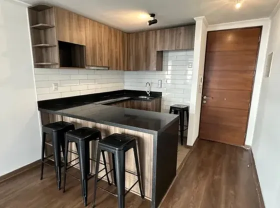 Arriendo Depto Metro Inés De Suarez Providencia Dueño Direct