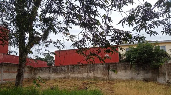 Bonito Terreno En Coatepec Veracruz 