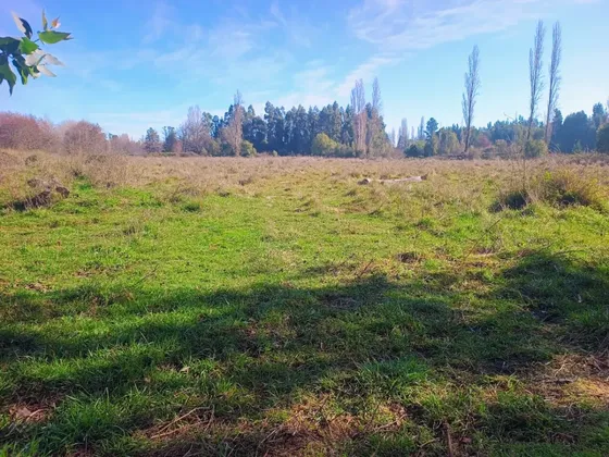 Hermoso Terreno4,5ha- Cerca Ruta 5 Sur, Cabrero