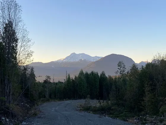 Terrenos Con Bosque Nativo Cercano A Parque Nacional Alerce