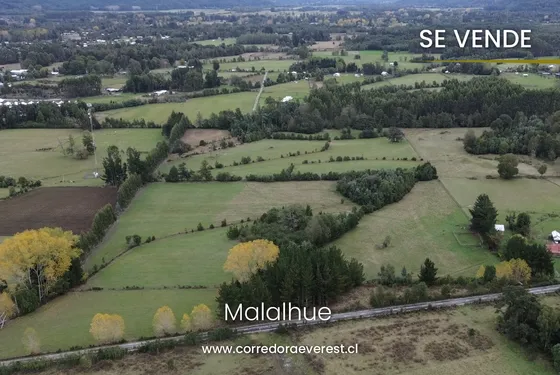 Se Vende Terreno De 9,5 Ha Planas, Malalhue Lanco.