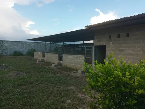 Finca Villa De Cura Edo. Aragua, Sector Tamboron L.m